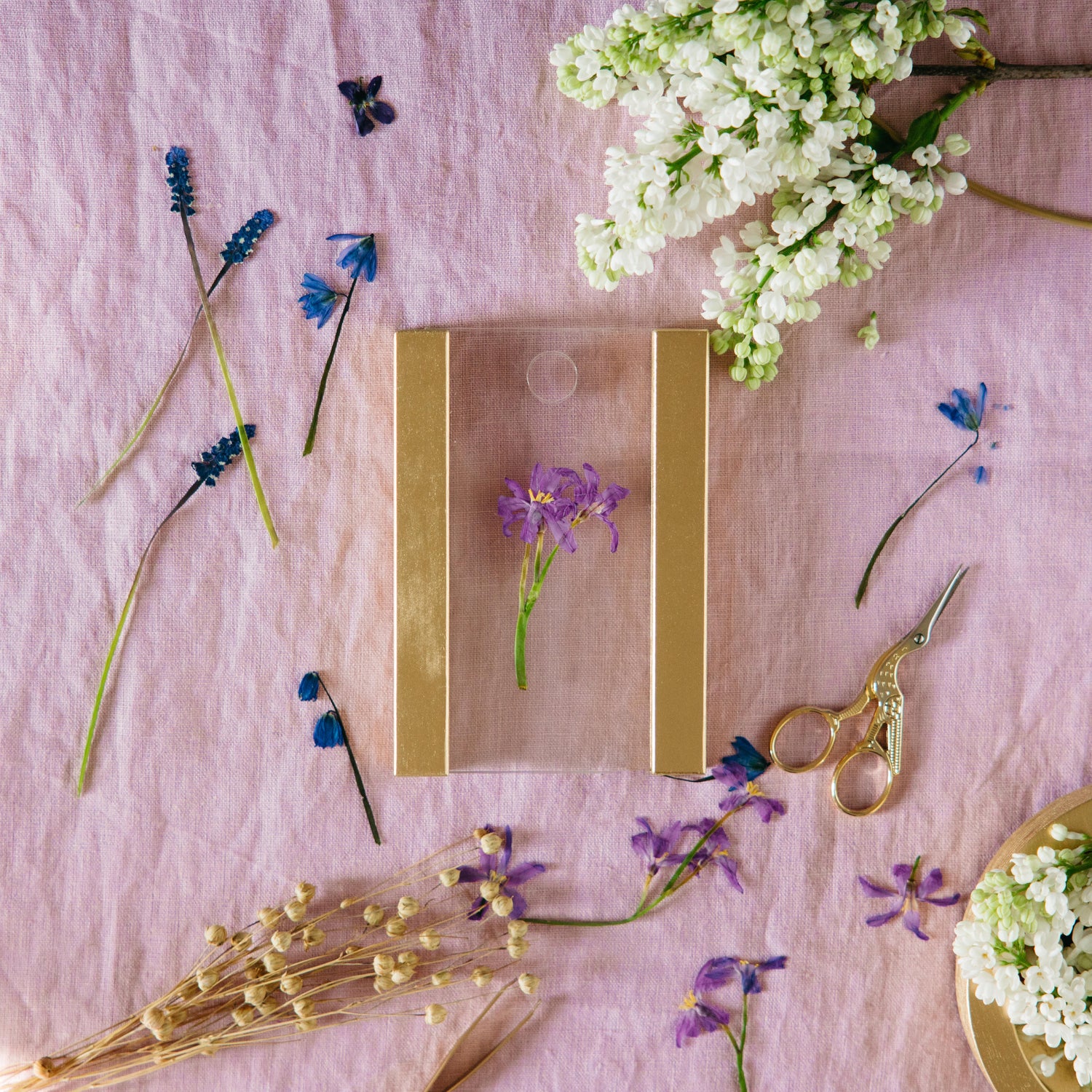 FloraFrame - presēts ziedu rāmis