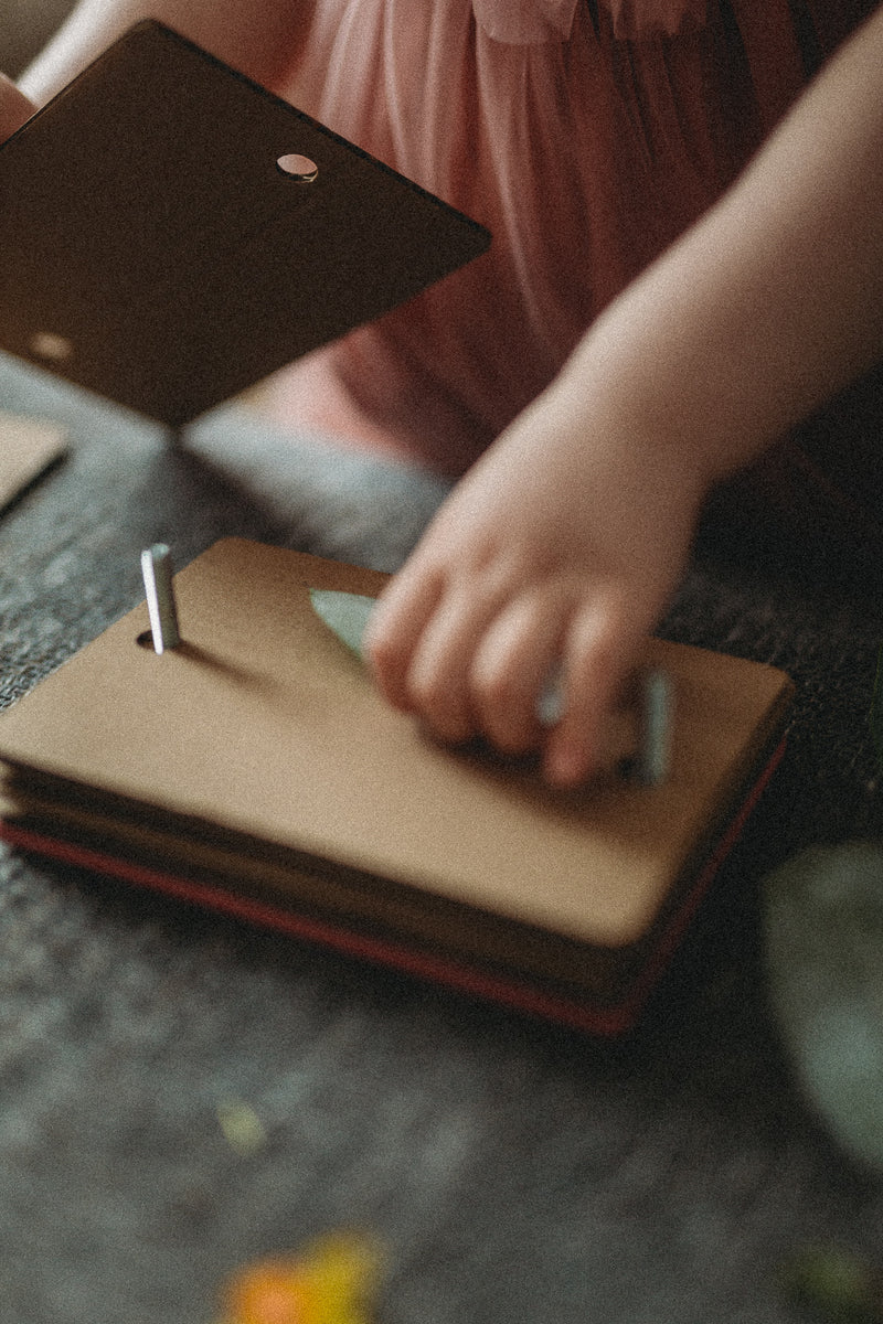 BloomPress – saplākšņa ziedu preses komplekts 