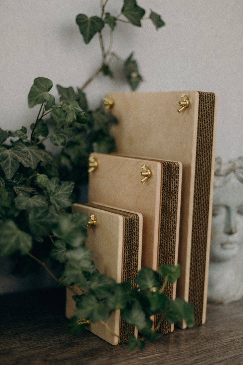 BloomPress – saplākšņa ziedu preses komplekts 