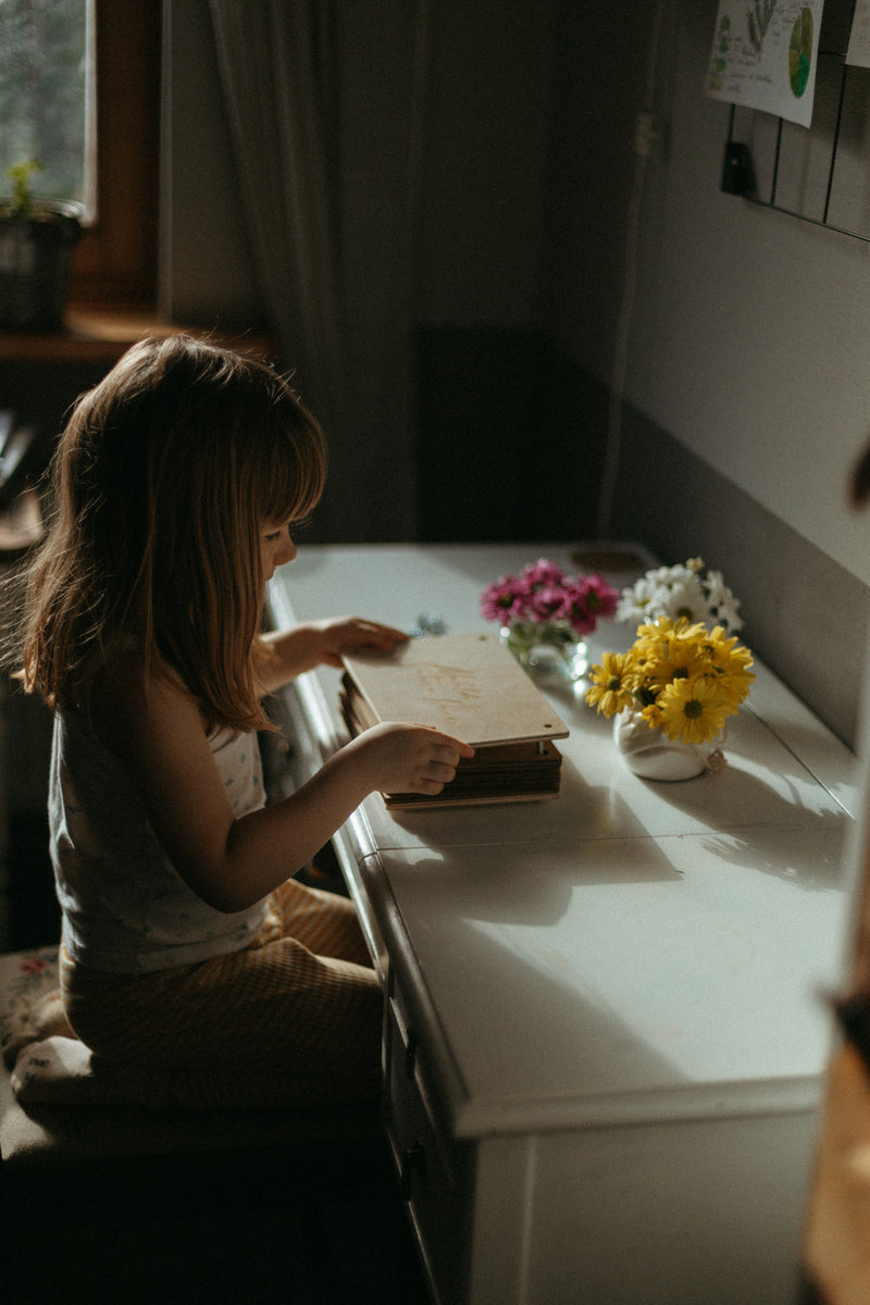 BloomPress – saplākšņa ziedu preses komplekts 