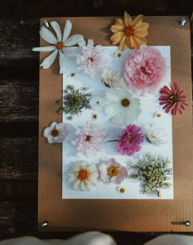 BloomPress – personalizēts saplākšņa ziedu preses komplekts